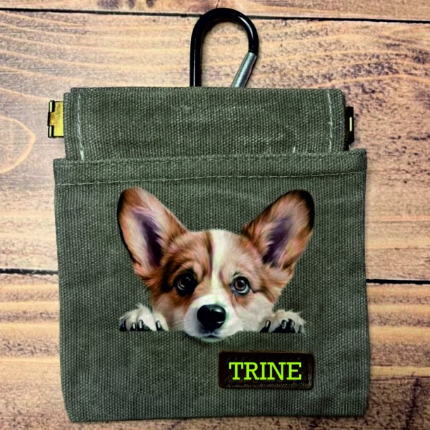 T�jtryk Corgihvalp