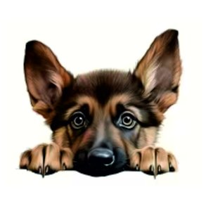 T�jtryk Sch�ferhvalp